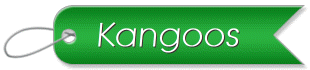 Kangoos